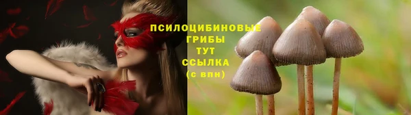 эйфоретик Михайлов