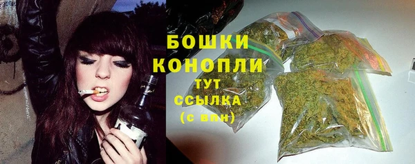 СК Михайловск