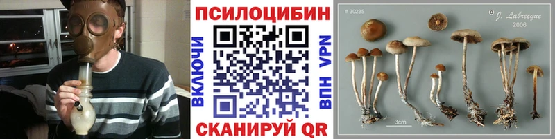 Псилоцибиновые грибы MAGIC MUSHROOMS дарнет шоп Оленегорск
